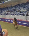 A video of Carla Delory cantering around the competition paddock on a chestnut horse using a Friction Shield Saddle Pad during warm ups.