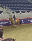 A video of Carla Delory cantering around the competition paddock on a chestnut horse using a Friction Shield Saddle Pad.