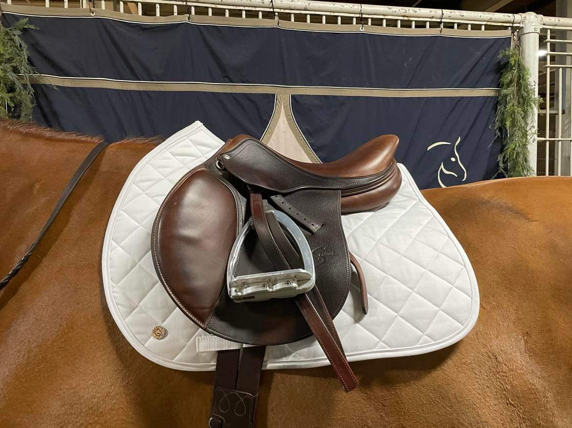 A chestnut horse wearing a Jackie&Co friction shield saddle pad under a brown leather saddle. 