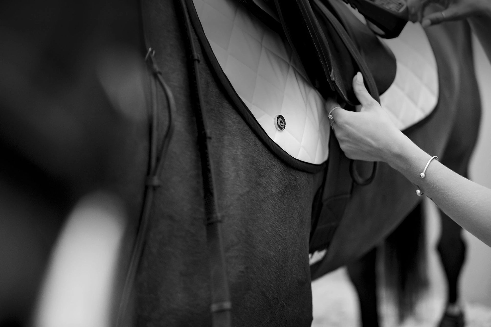Close-up view of a woman adjusting a saddle over a white Jackie&Co saddle pad on a chestnut-coloured horse. 