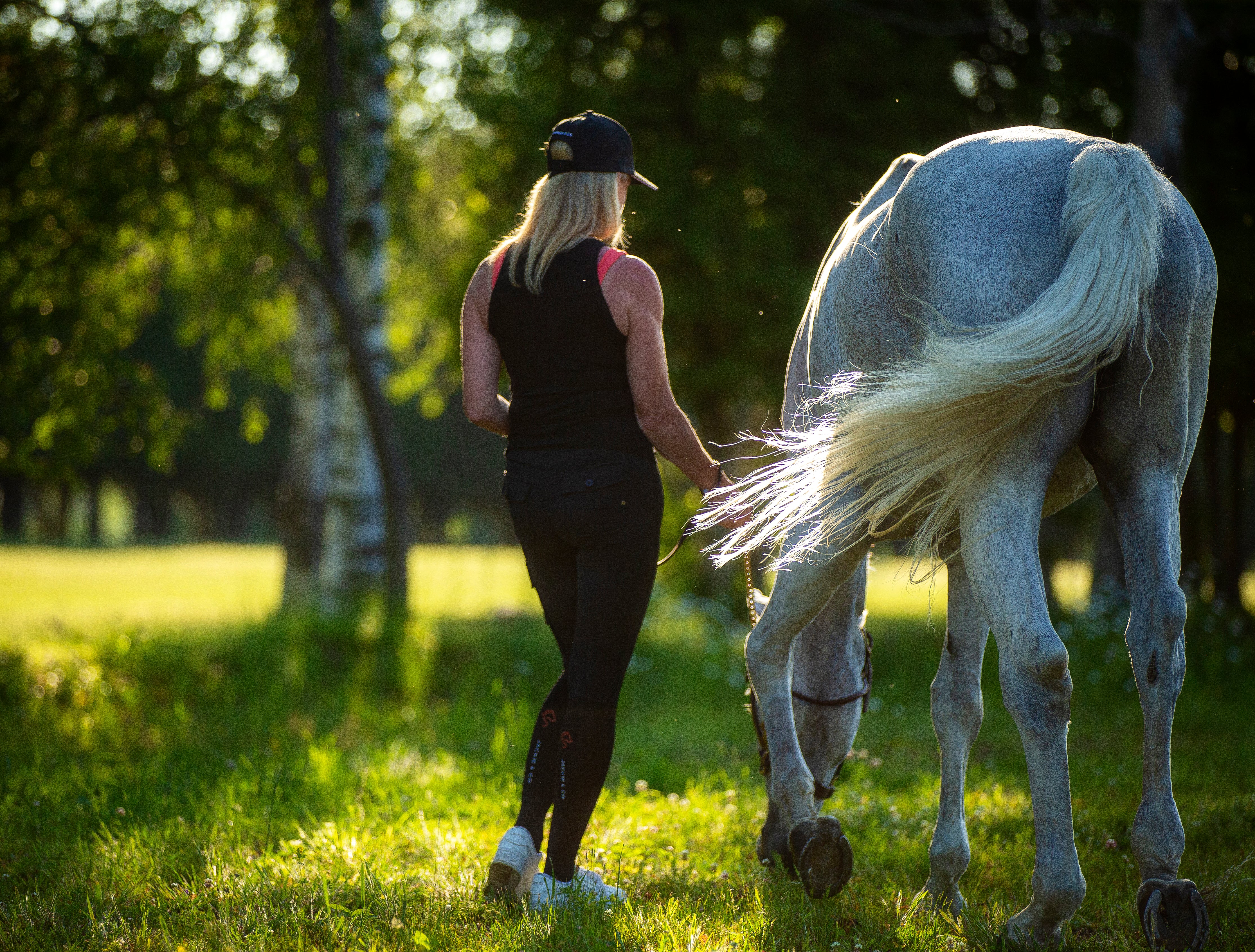 A back view of Jackie walking her grey horse on a sunny field with trees around on a warm summer day.