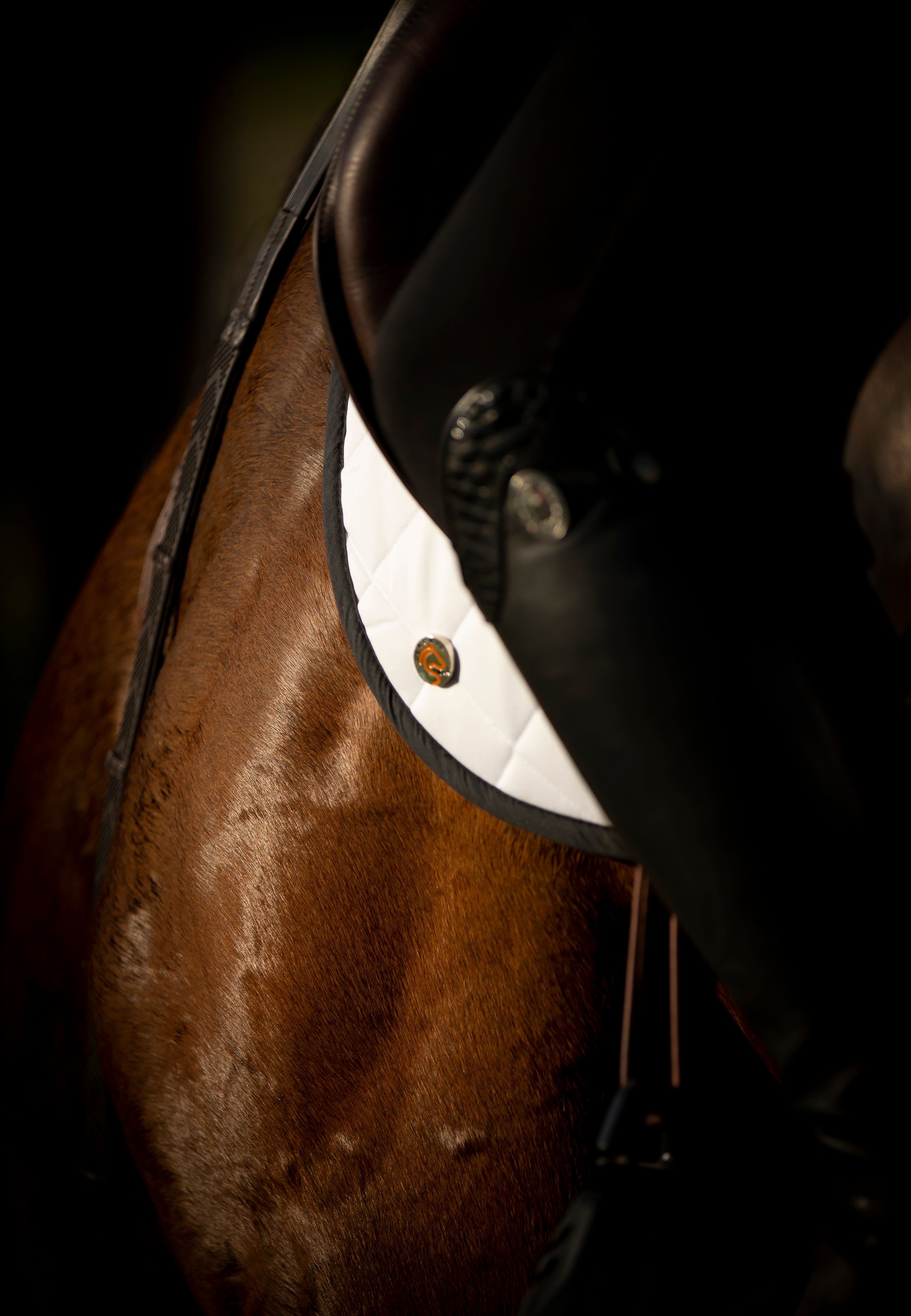 A moody shot of a chestnut horse wearing a white Jackie&Co saddle pad. 