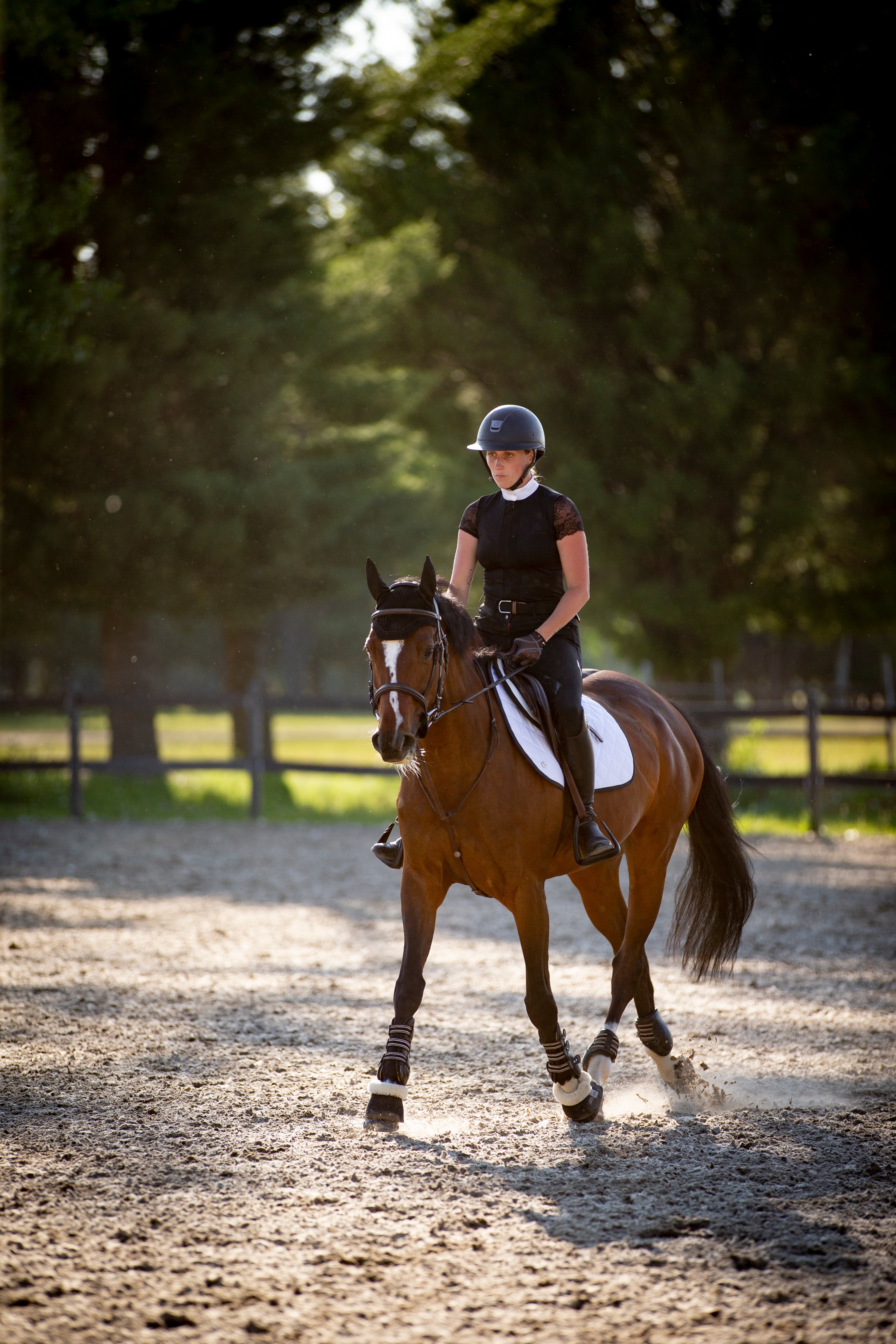 A rider in a paddock on a sunny day with a white saddle pad. 