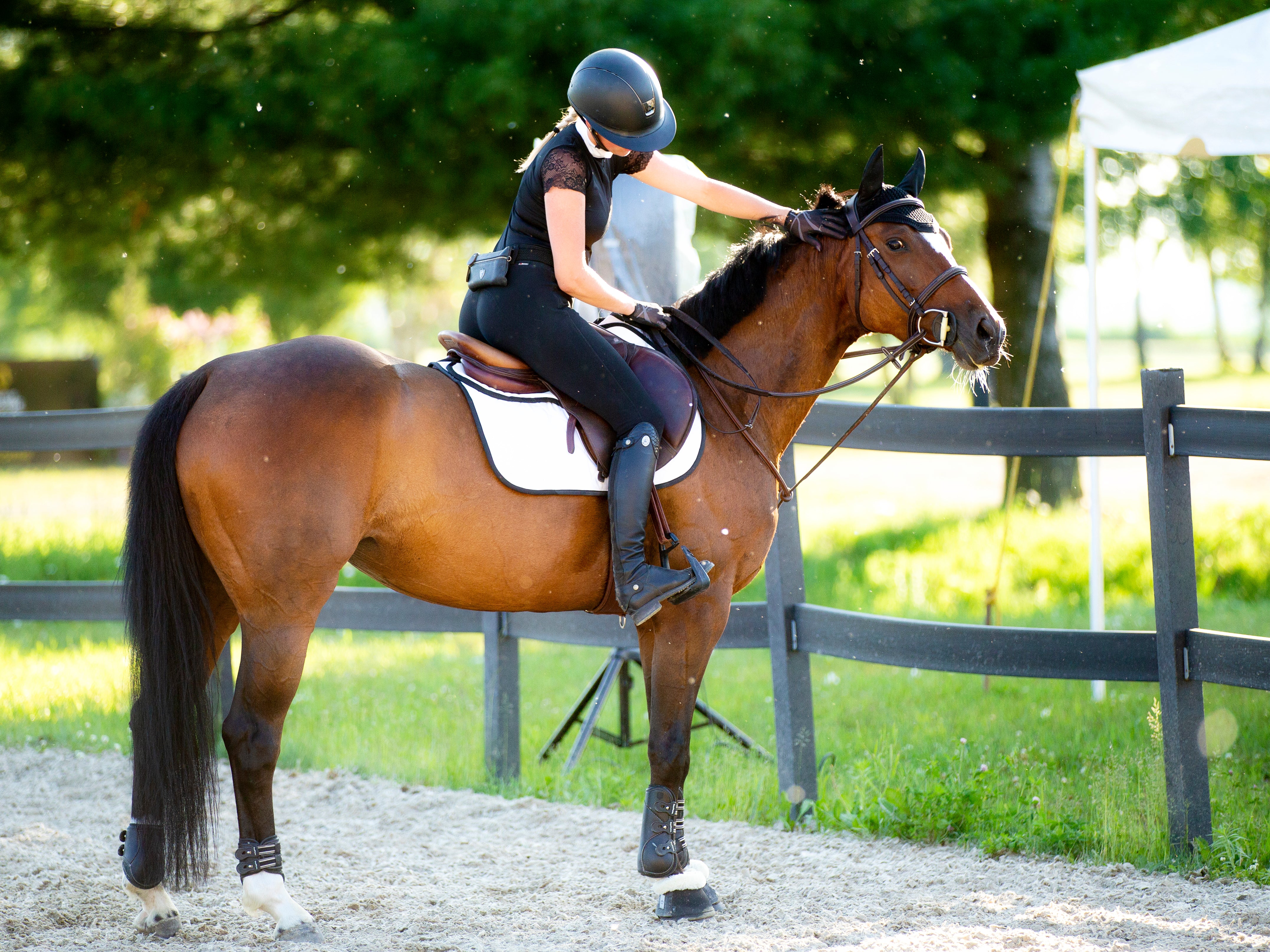 A chestnut horse wearing the perfecto saddle pad with a rider petting it's mane.
