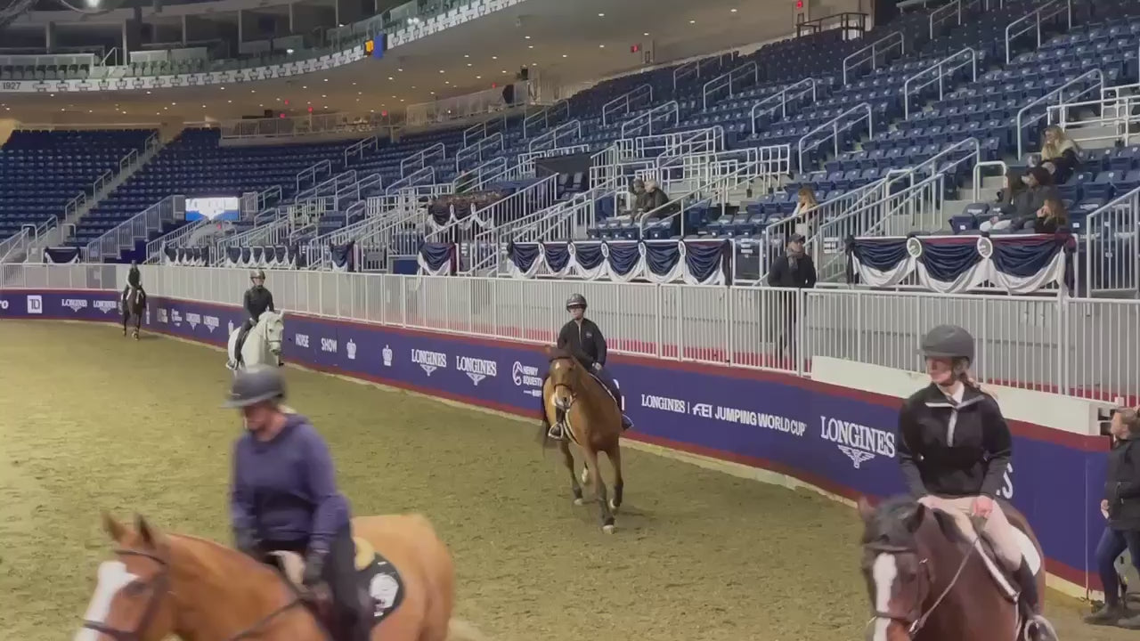 A video of Carla Delory cantering around the competition paddock on a chestnut horse using a Friction Shield Saddle Pad during warm ups. 