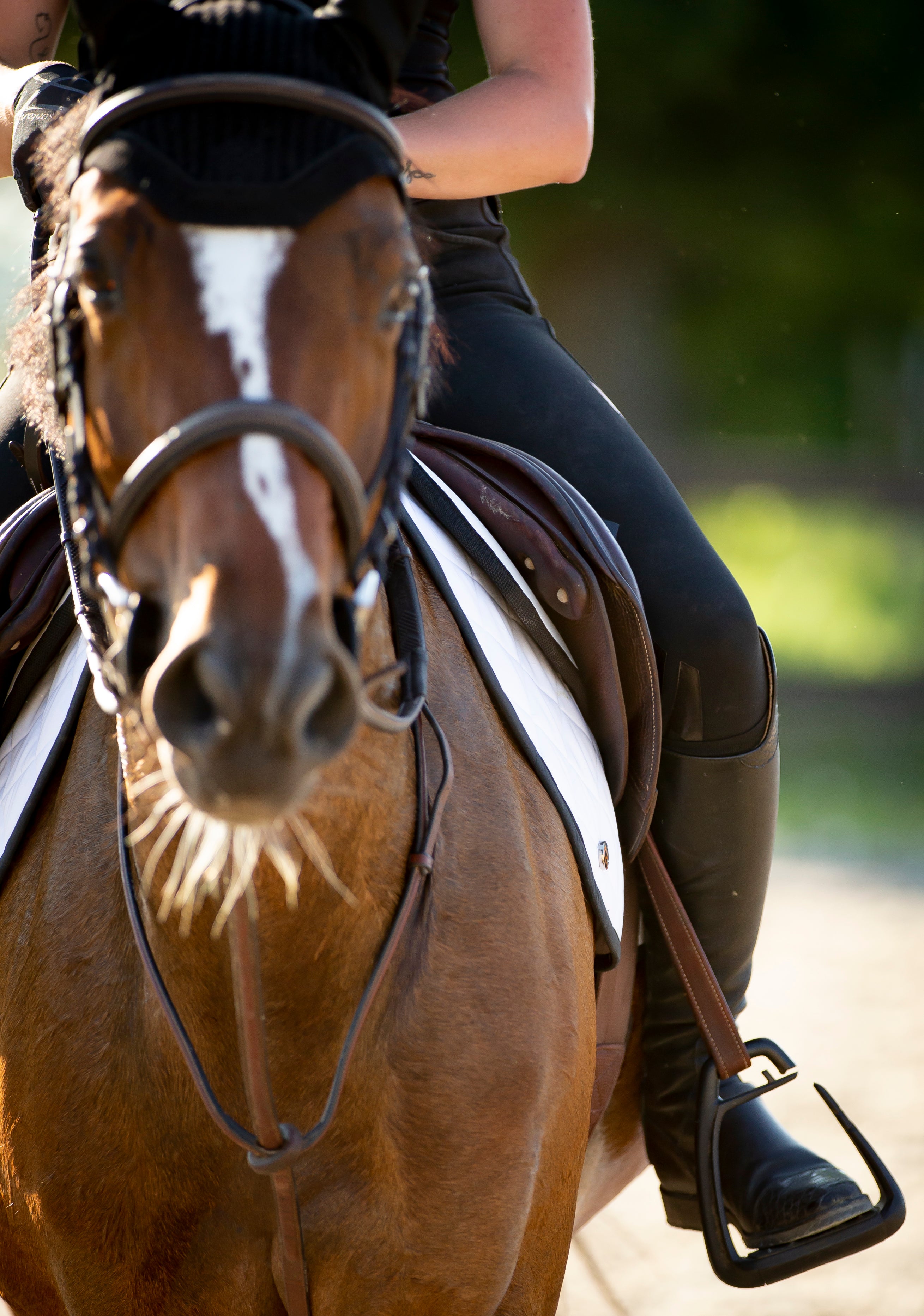 A front view of a woman riding on a chestnut horse with a white stripe on it's forehead and startlingly white saddle pad. 
